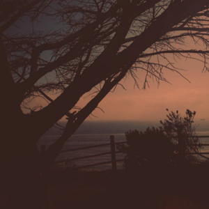 高清🈚码🔞❌♋白灵
