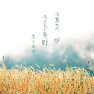 高清🈚码🔞❌♋白灵
