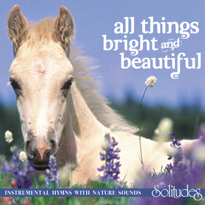 高清🈚码🔞❌♋白灵
