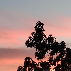 高清🈚码🔞❌♋白灵
